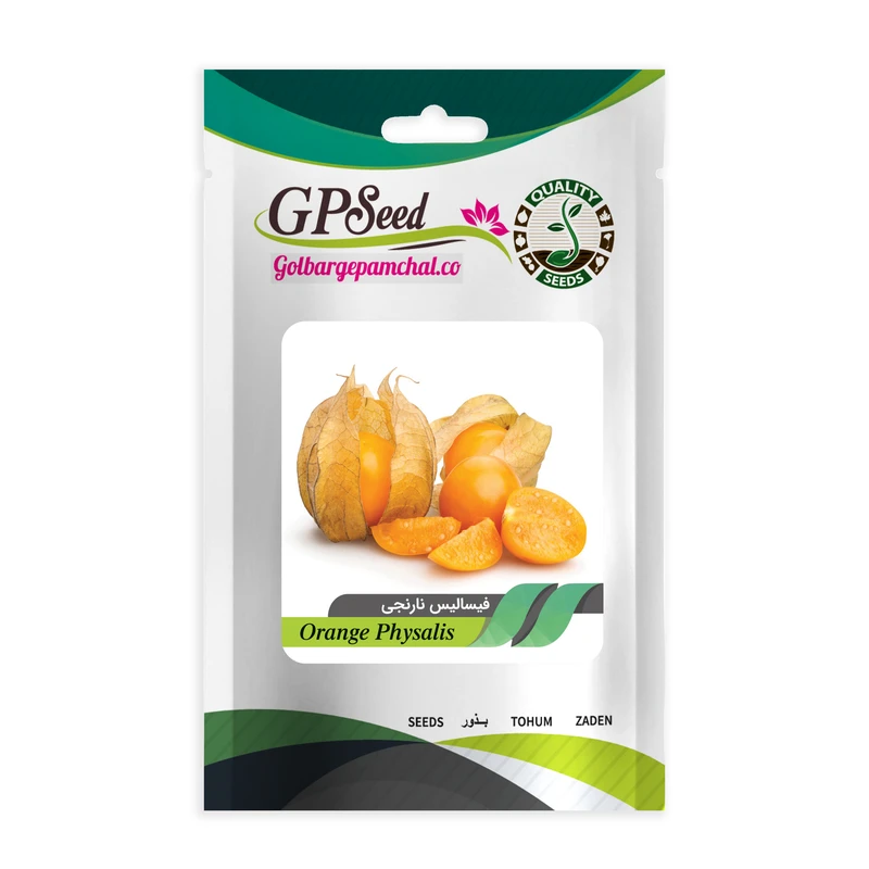 بذر فیسالیس گلبرگ پامچال کد GPF-162