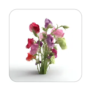 زیر لیوانی کاکتی طرح گل مدل mp16543