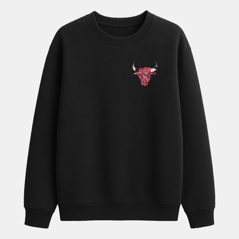 سویشرت مردانه باهرپوش شرق مدل دورس ساده NBA بسکتبال شیکاگو mo421