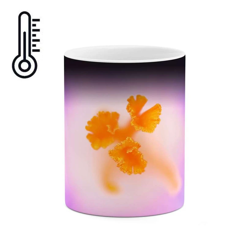 ماگ حرارتی کاکتی مدل گل کد mgh12059