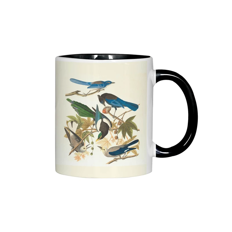 ماگ ژالینو طرح پرندگان زیبا و زینتی کد 001