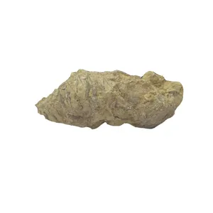 سنگ راف آمیتیست مدل فسیلی