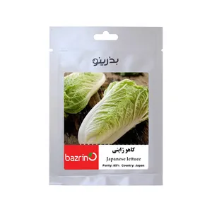بذر کاهو ژاپنی بذرینو کد BZNO-222