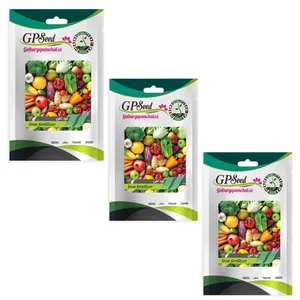 کود آهن گلبرگ پامچال کد GPF-311 وزن 10 گرم مجموعه 3 عددی