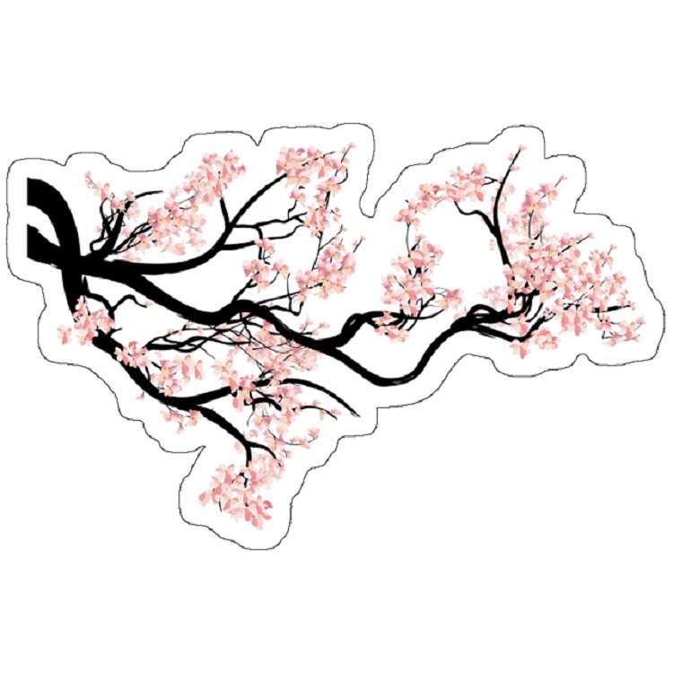 استیکر مدل Sakura cherry blossom tree