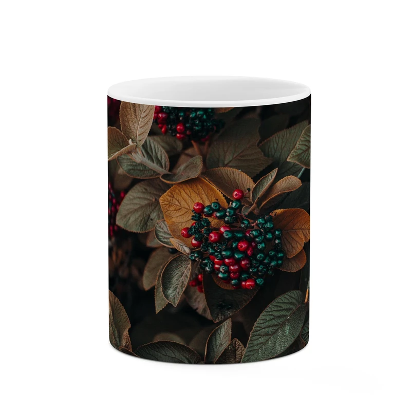 ماگ کاکتی طرح میوه کد mgp11266