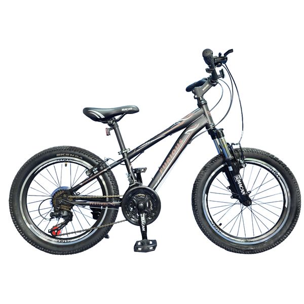 دوچرخه شهری فیوریس مدل macan سایز طوقه 20 اینچ