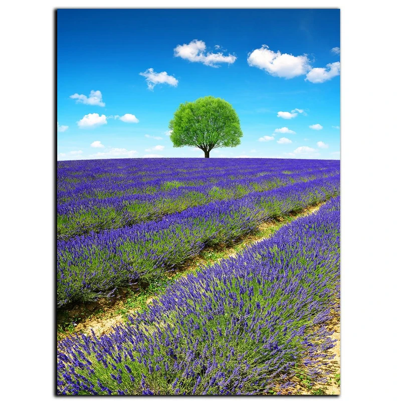 تابلو شاسی بکلیت طرح مزرعه اسطوخودوس مدل SH-S3898