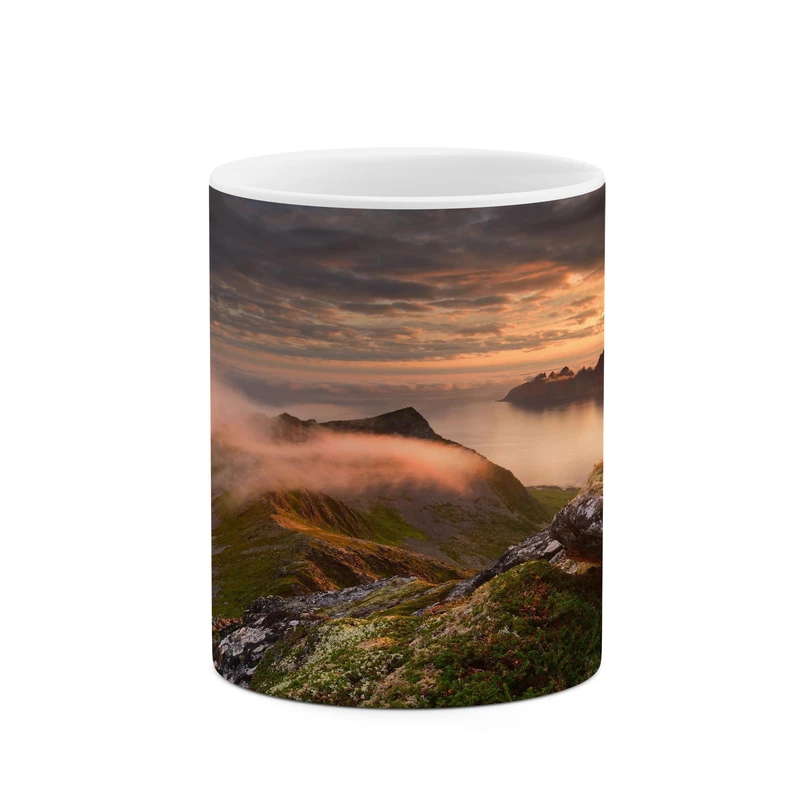 ماگ کاکتی مدل منظره کد mgh17353