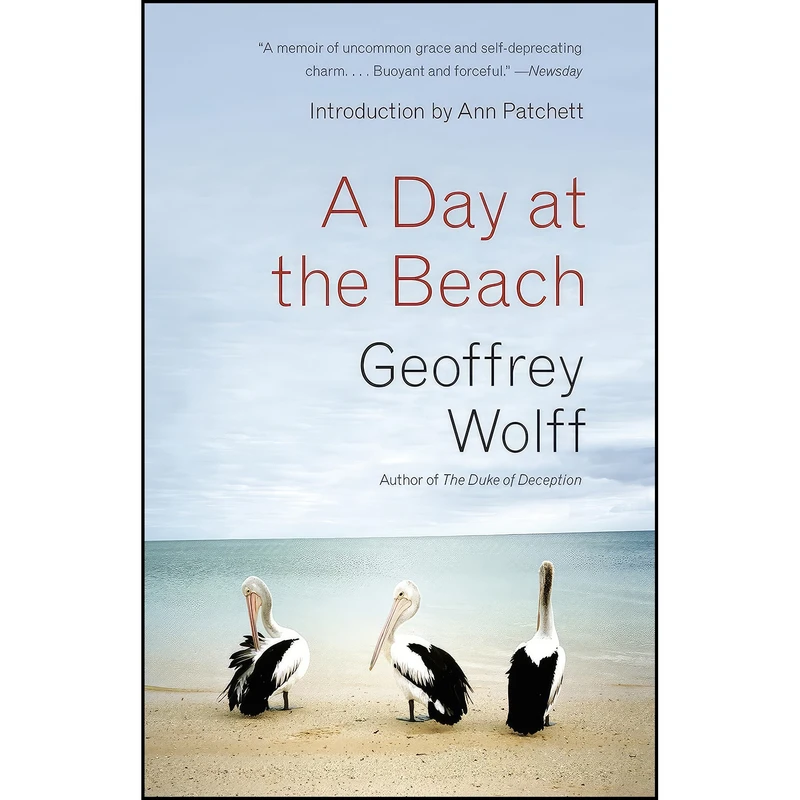 کتاب A Day at the Beach اثر Geoffrey Wolff and Ann Patchett انتشارات Vintage