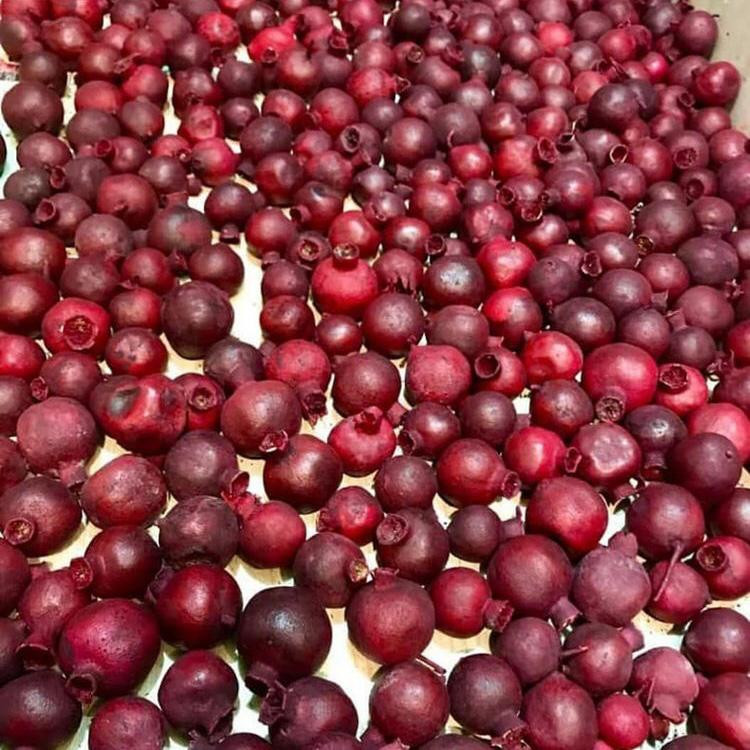 دکوری طرح انار مدل یلدا مجموعه 10 عددی
