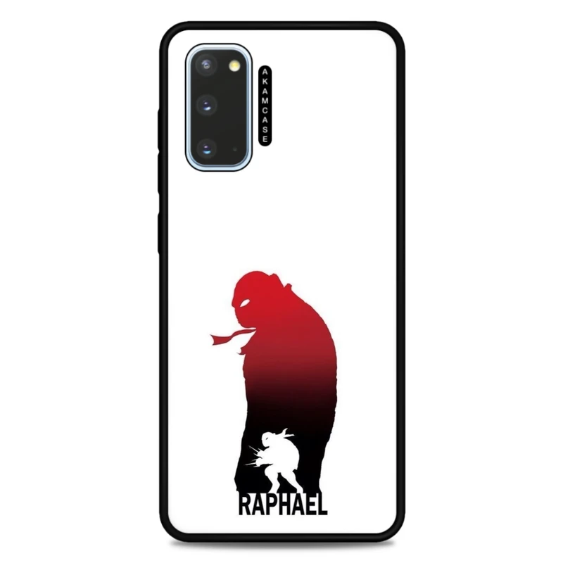 کاور آکام مدل AMC-WSGS20-NINJA TURTLES7 مناسب برای گوشی موبایل سامسونگ Galaxy S20