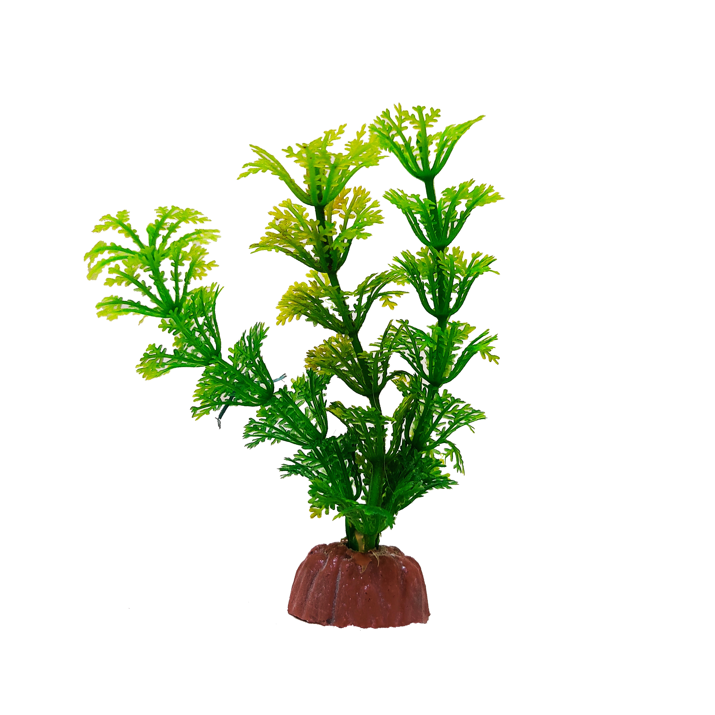 گیاه تزیینی آکواریوم کد 047