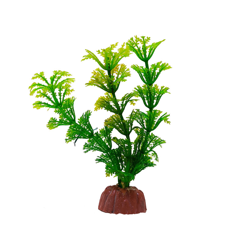 گیاه تزیینی آکواریوم کد 047
