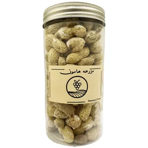 بادام زمینی با پوست نمکی ممتاز مزرعه هامون - 160 گرم