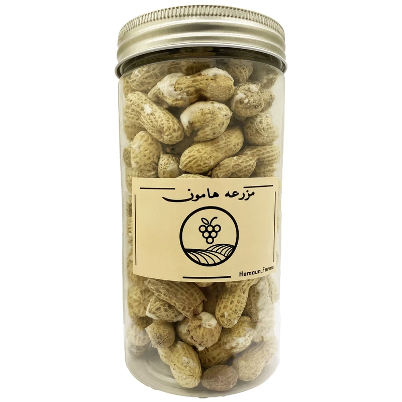 بادام زمینی با پوست نمکی ممتاز مزرعه هامون - 160 گرم