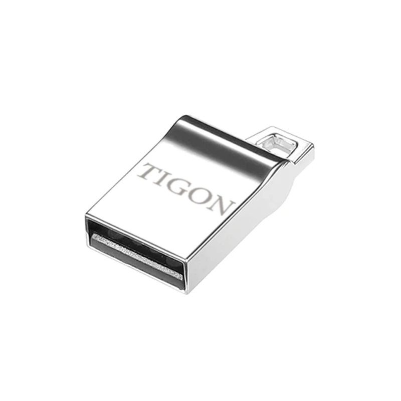فلش مموری تایگون مدل P95 ظرفیت 4 گیگابایت با رابط USB 2.0