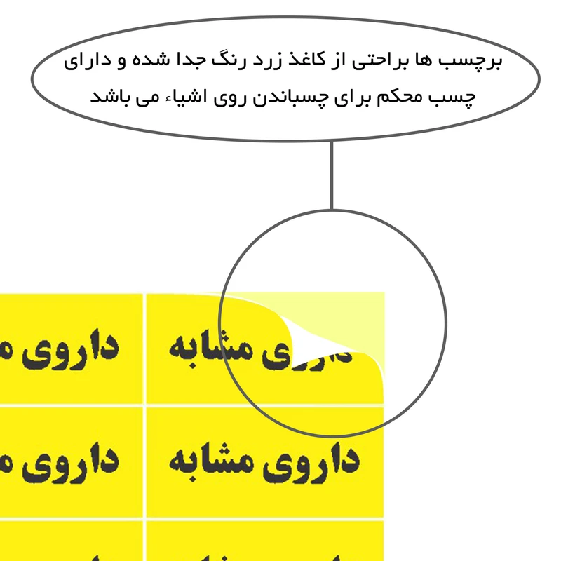 عکس شماره 4