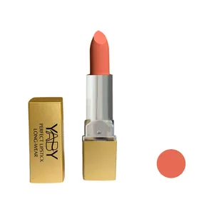 رژ لب جامد یابی شماره y-07