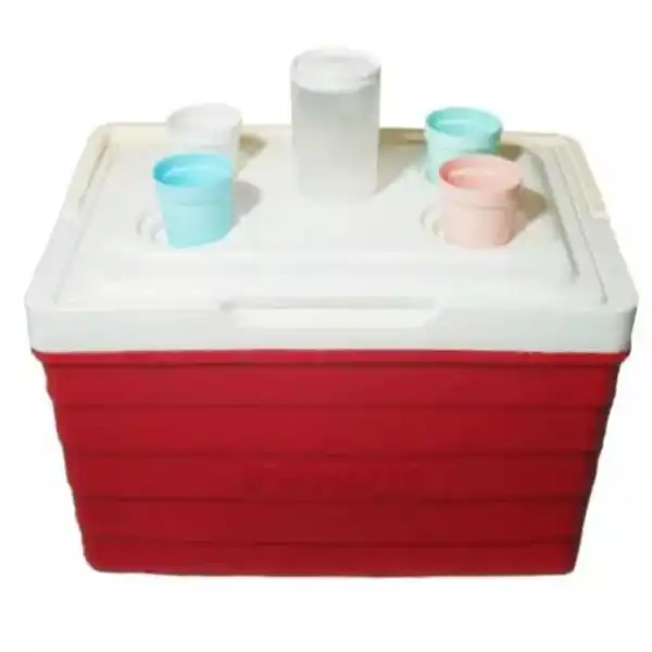 یخدان سفری کیش مدل k27
گنجایش27 لیتر