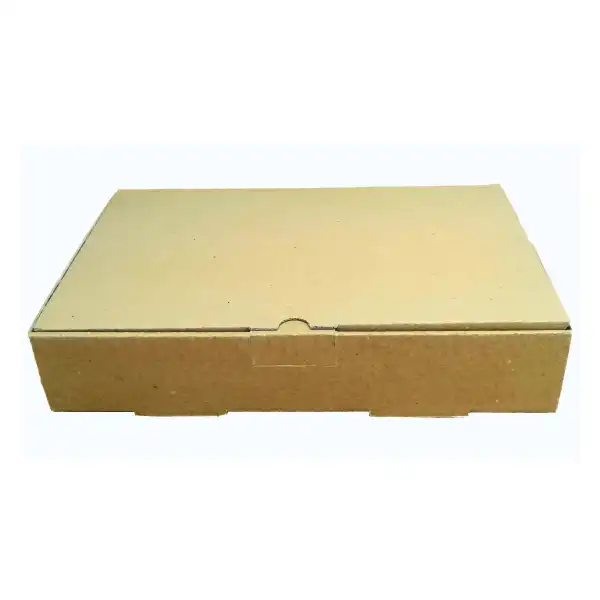 جعبه بسته بندی مدل غذای بیرون بر دو پرسی کد G3 بسته 100 عددی