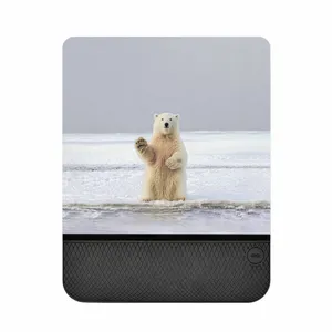 MAHOOT  SML-Polar_bear Mouse Pad