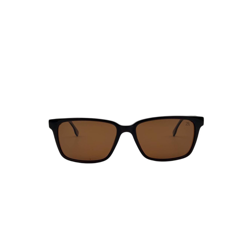 عینک آفتابی مردانه زارا مدل FG6006