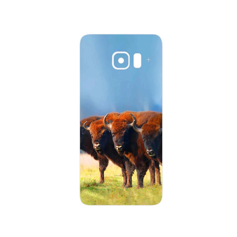 برچسب پوششی ماهوت مدل Buffalo مناسب برای گوشی موبایل سامسونگ Galaxy S6 Edge Plus