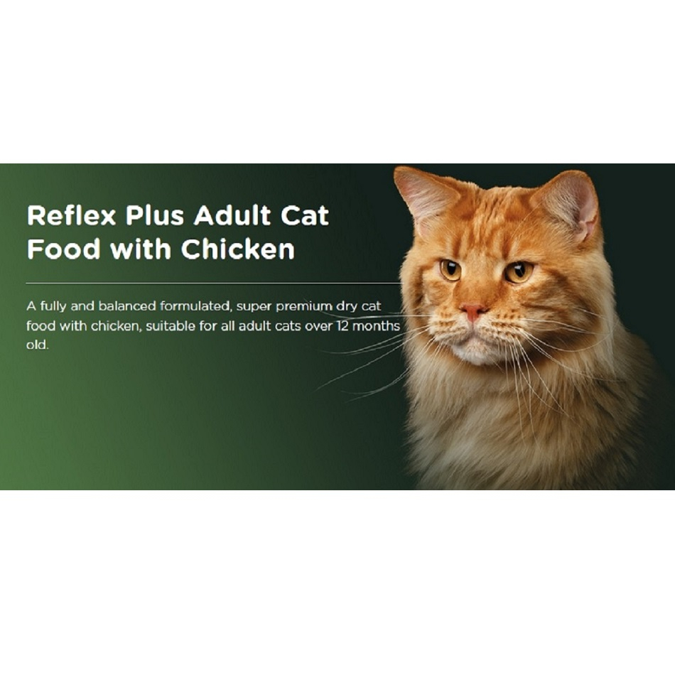 غذاي خشک گربه رفلکس مدل Chicken وزن 1.5 کيلوگرم