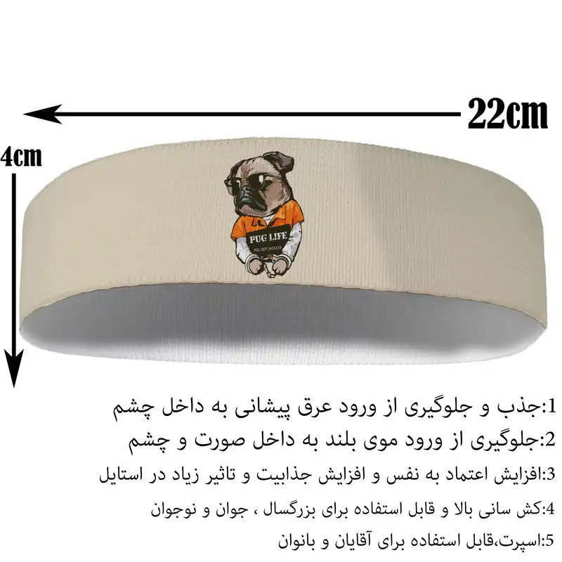 هدبند ورزشی آی تمر مدل سگ پاگ کد 145