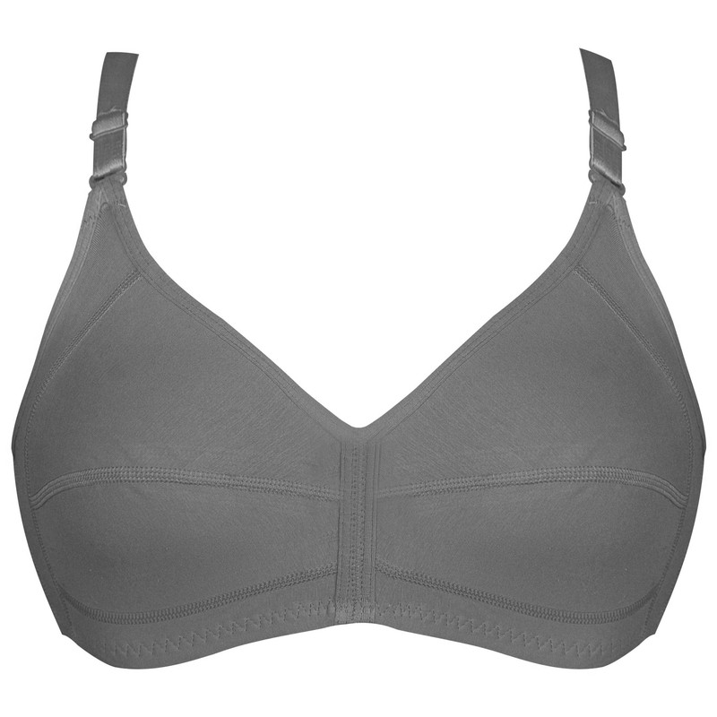 سوتین زنانه پانیذ مدل بدون فنر کد 3171-5 رنگ طوسی