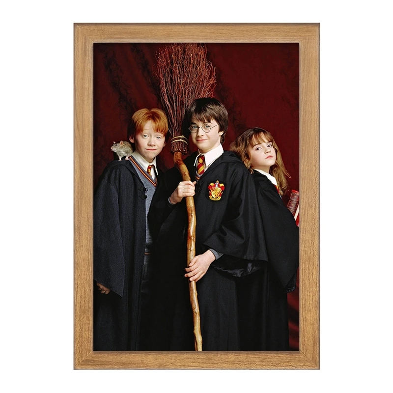 تابلو خندالو مدل رون و هرمیون و هری پاتر Harry Potter  کد 2914