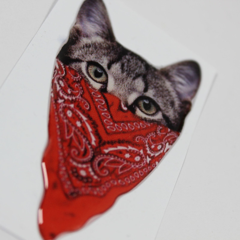 برچسب خودرو مدل ژله ای کد گربه باندانا