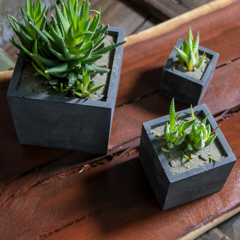 گلدان گالری کوه مدل مکعبی کد GM1