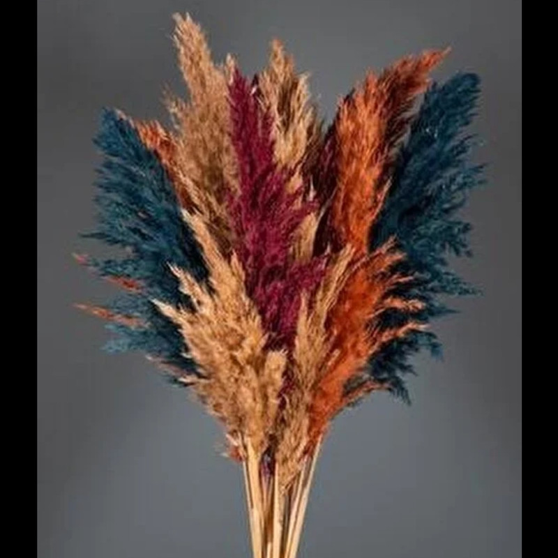گل خشک مدل پامپاس پاک شده مجموعه 6 عددی
