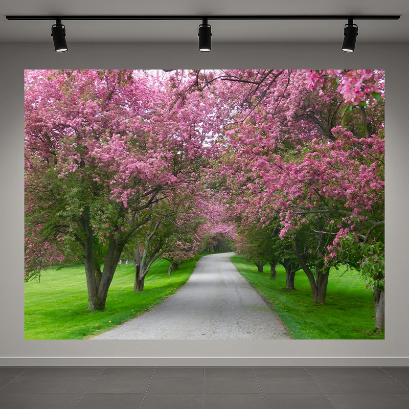 تابلو بوم طرح مخمل جاده بهاری مدل شکوفه های گیلاس کد AR3059681