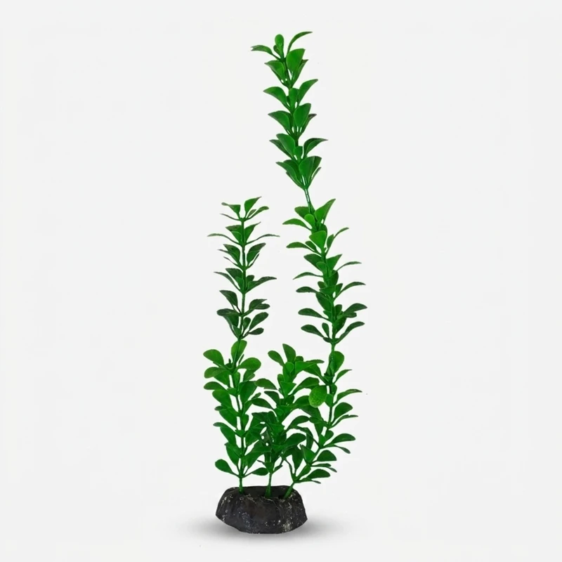 گیاه تزیینی آکواریوم مدل دلوین
