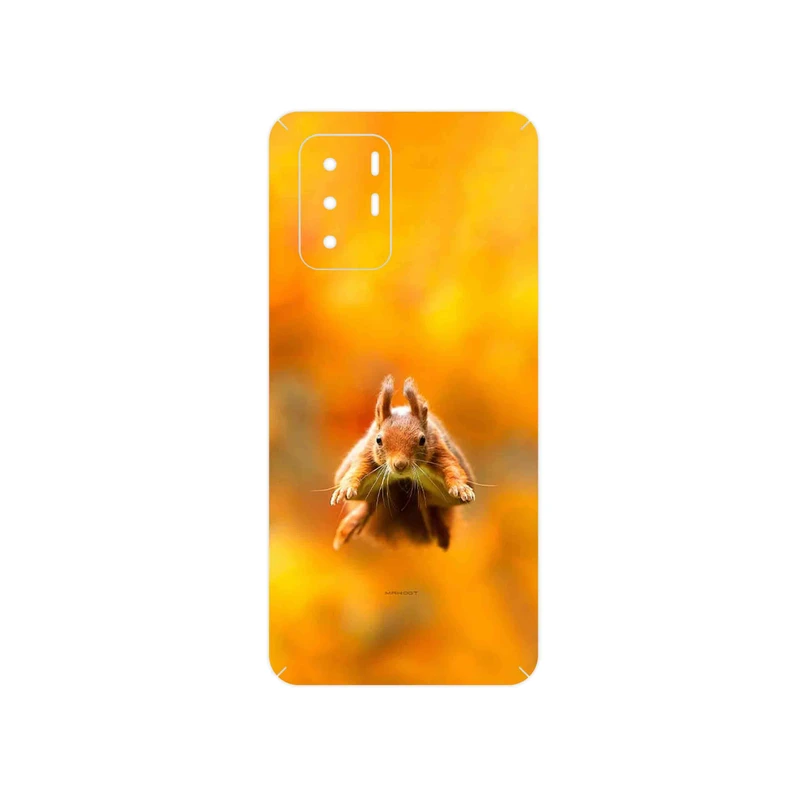 برچسب پوششی ماهوت مدل Squirrel مناسب برای گوشی موبایل شیائومی Redmi Note 10 Pro (China)