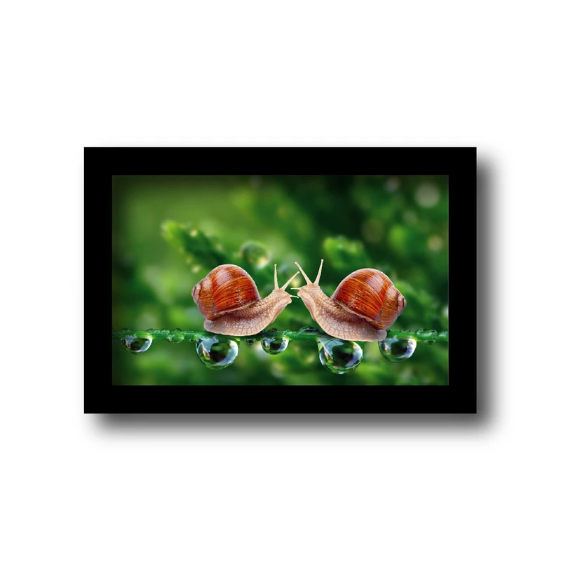 تابلو مدل حلزون های عاشق. کد km-36