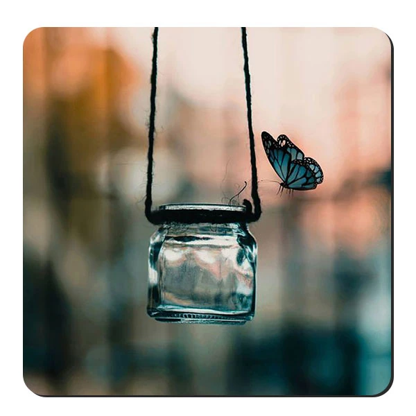  زیر لیوانی طرح پروانه و ظرف شیشه ای کد nzl171