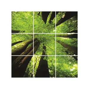 تایل سقفی آسمان مجازی مدل S29 سایز 60*60 سانتی متر مجموعه 9 عددی