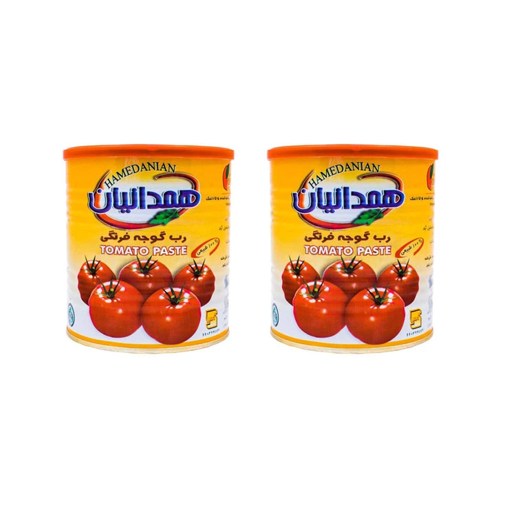 کنسرو رب گوجه فرنگی همدانیان مقدار 800 گرم بسته 2 عددی