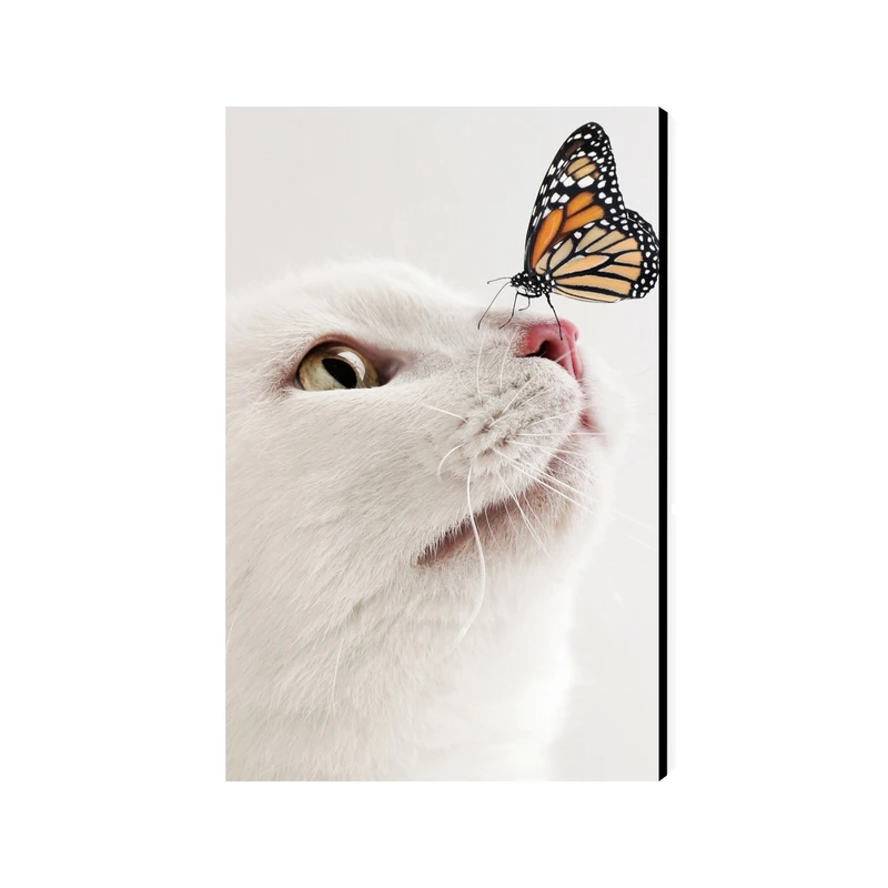 تابلو شاسی عرش مدل فانتزی گربه کد As4502