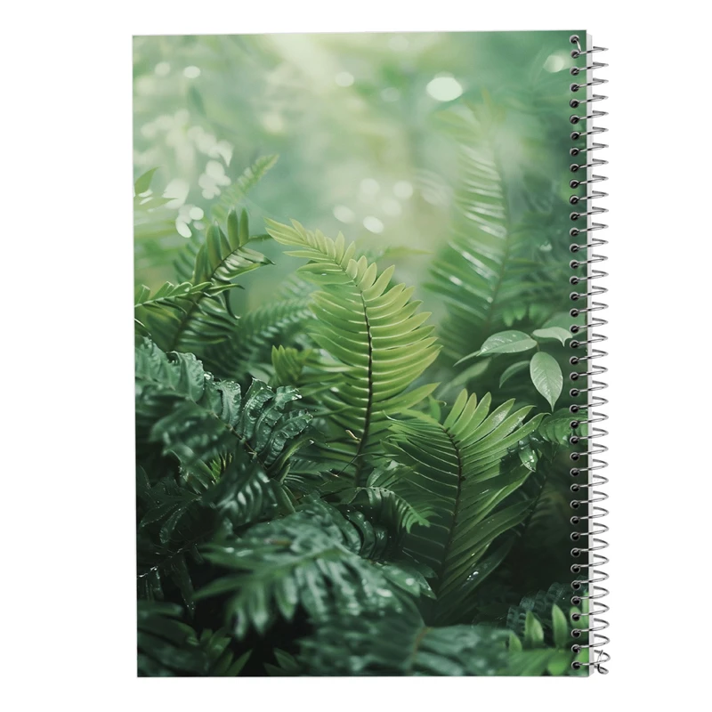 دفتر مشق 50 برگ مدوپد مدل برگ کد DF15584