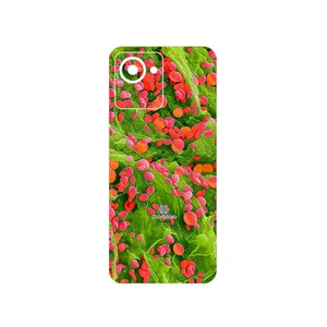 MAHOOT Atom Universe 3 Cover Sticker for Realme C30s