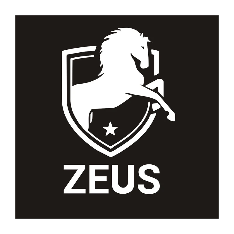 برچسب بدنه خودرو طرح زئوس کد N.GRAF01