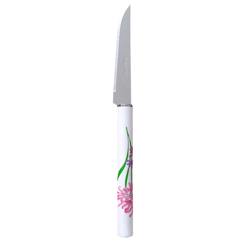 چاقو میوه خوری 12 پارچه ام جی کد 31