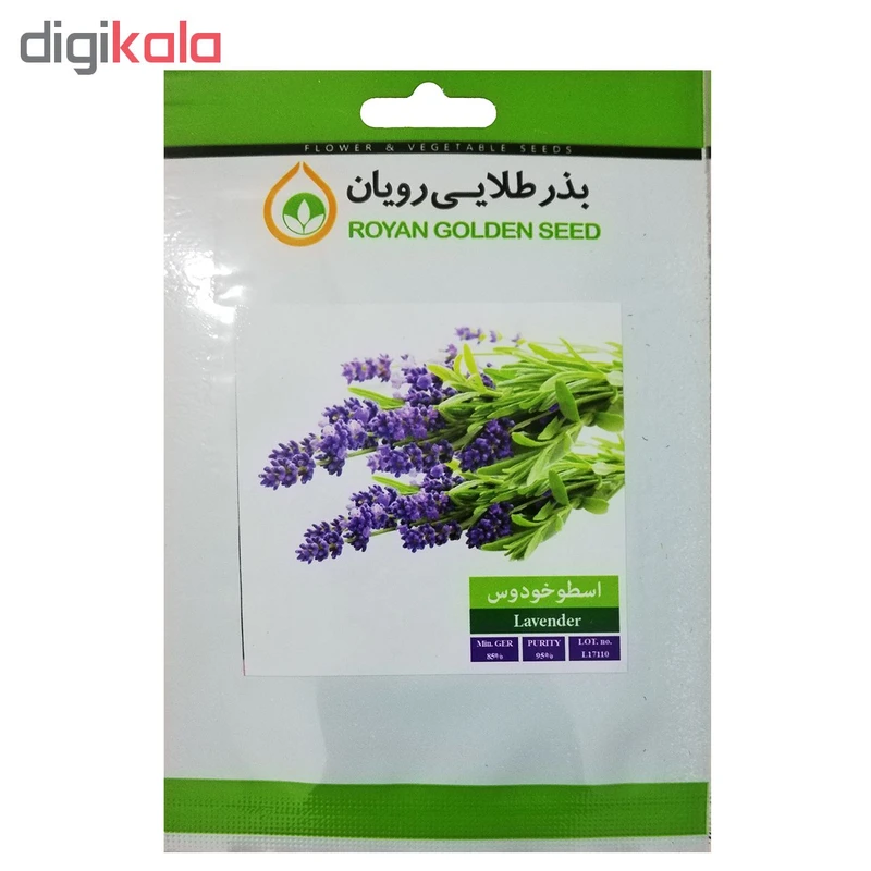 عکس شماره 2 : بذر گیاه دارویی اسطوخودوس بذر طلایی رویان کد bzt-108