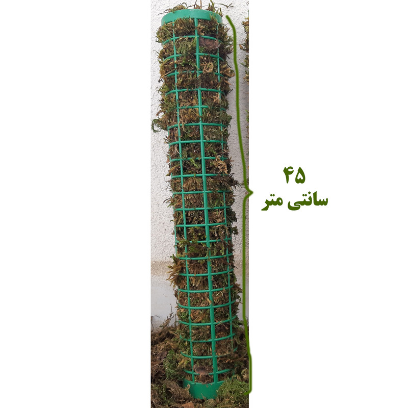 قیم بند بدون پایه کوتاه مدل خزه دار کد 45cm قیم بند بدون پایه کوتاه مدل خزه دار کد 45cm