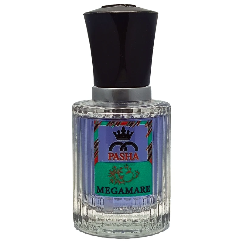 عطر جیبی مردانه پاشا مدل مگامار کد vip حجم 30 میلی لیتر